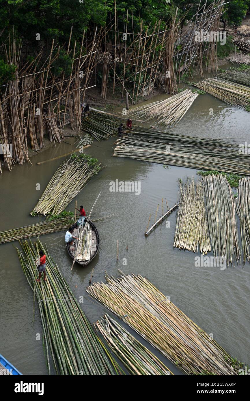 Bamboo sticks are seen on a Bamboo market in Bangladesh, on 30 June 2021 Stock Photo Alamy