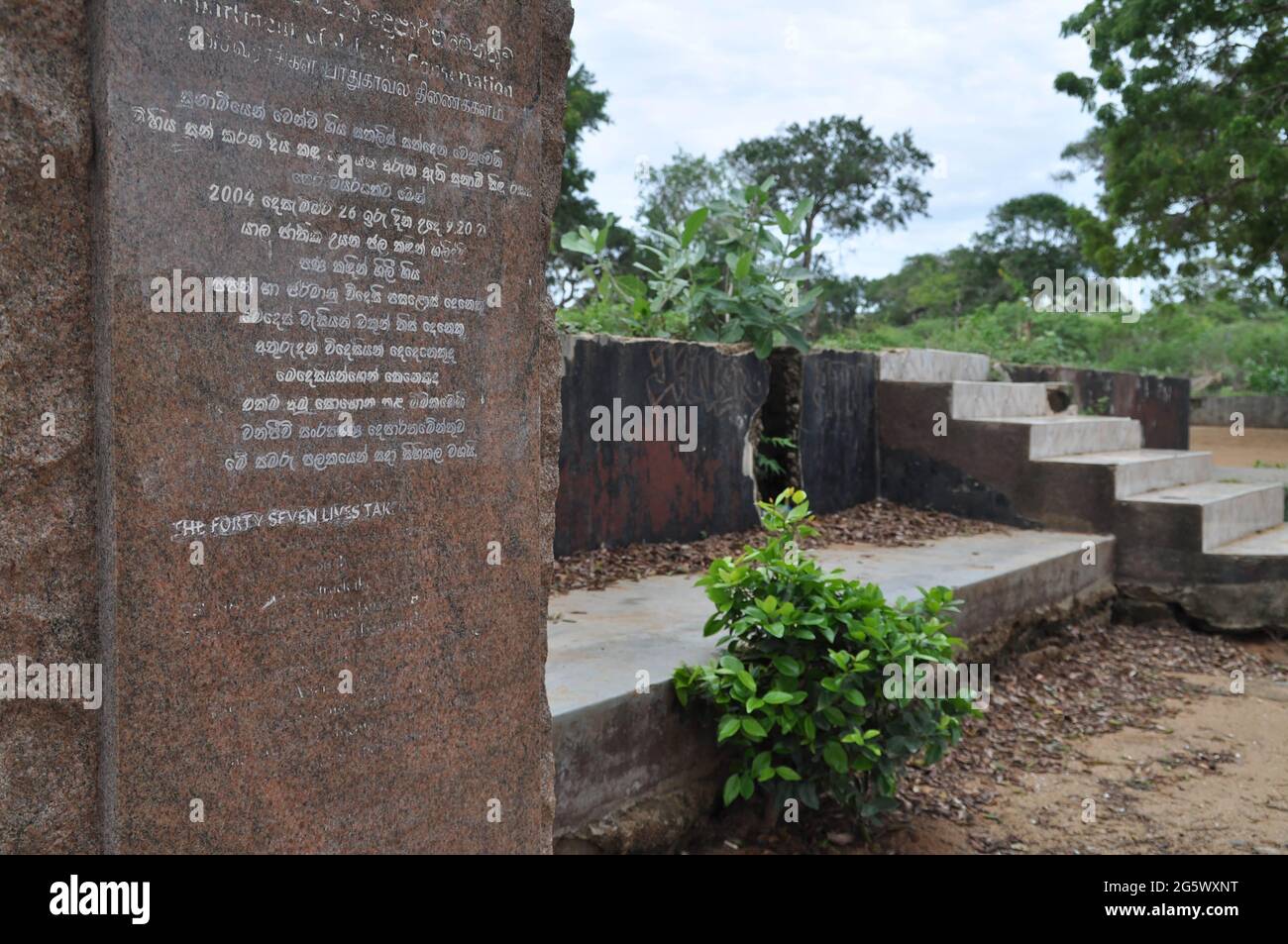 Where is yala national park the tsunami