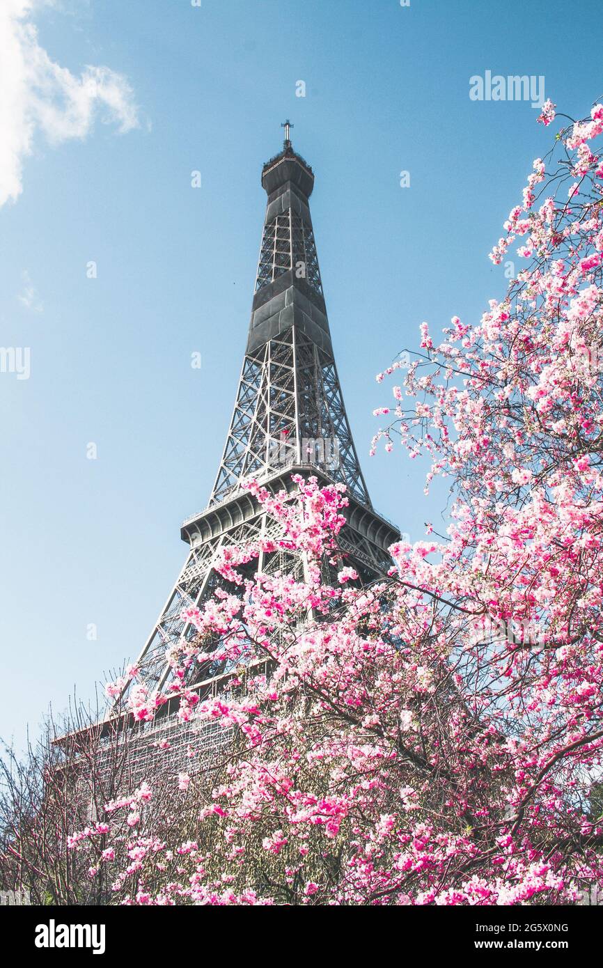 Tour eiffel with spring flowers hires stock photography and images Alamy