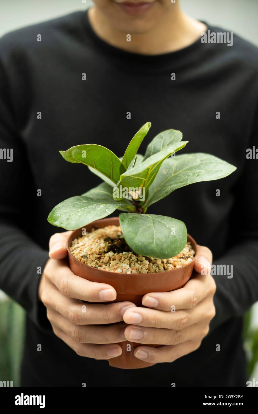 Young man holding potted plant Stock Photo - Alamy