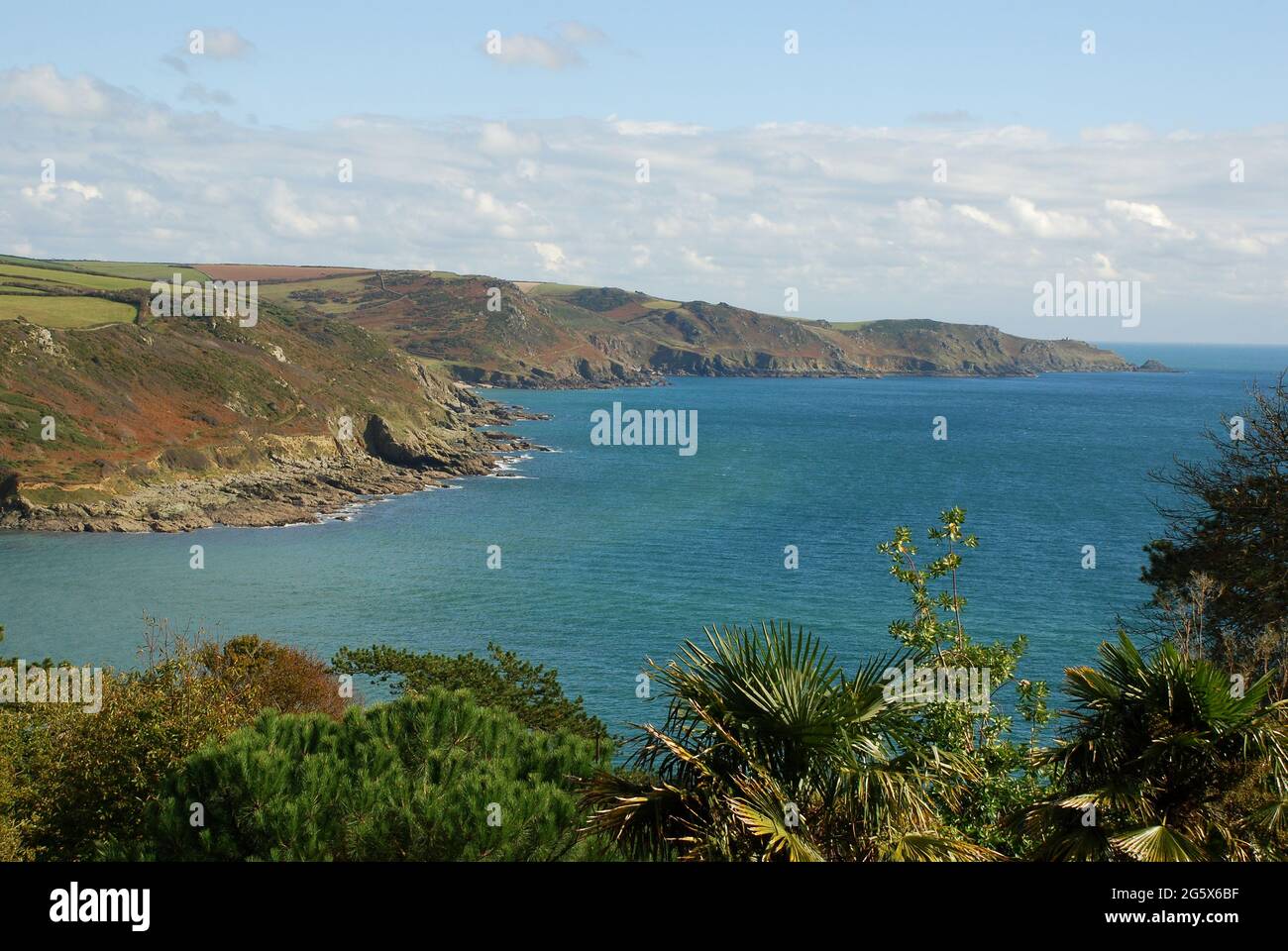 Devon Coastline from Overbecks Stock Photo