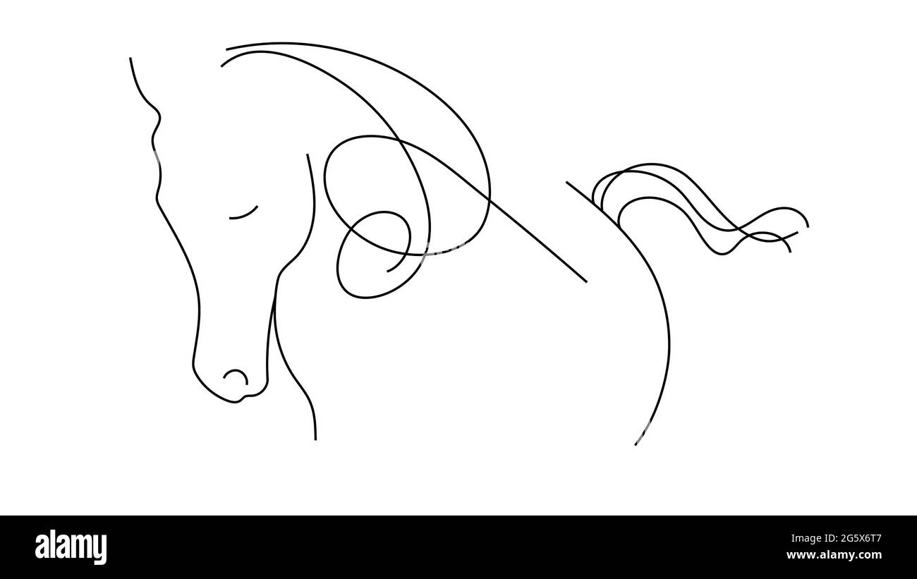 3d illustration contour drawing horse on white background Stock Photo
