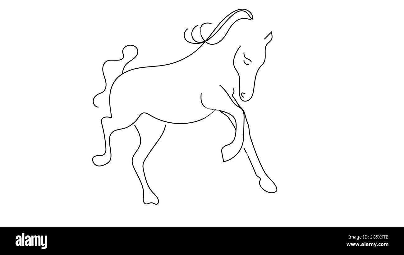 3d illustration contour drawing horse on white background Stock Photo