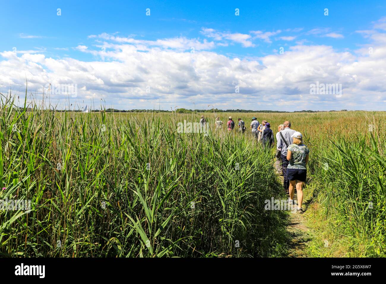 People on an organised walk by Norfolk Wildlife Trust on Hickling Broad, Norfolk, England, UK Stock Photo