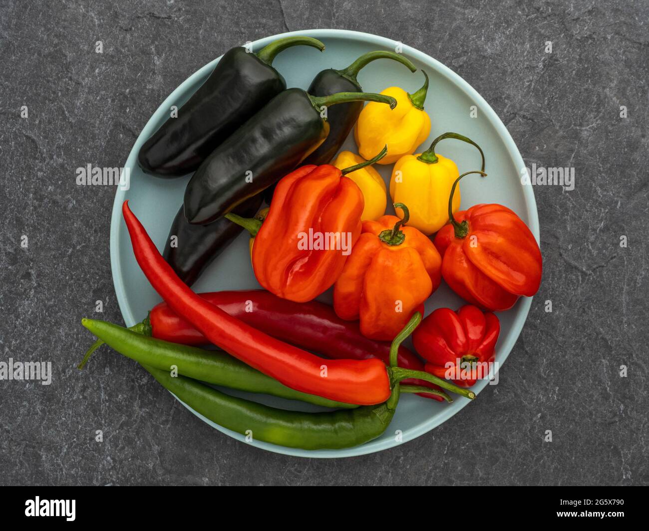 Plan view of assorted chilli peppers on a duck egg blue plate, on a grey textured background. Stock Photo