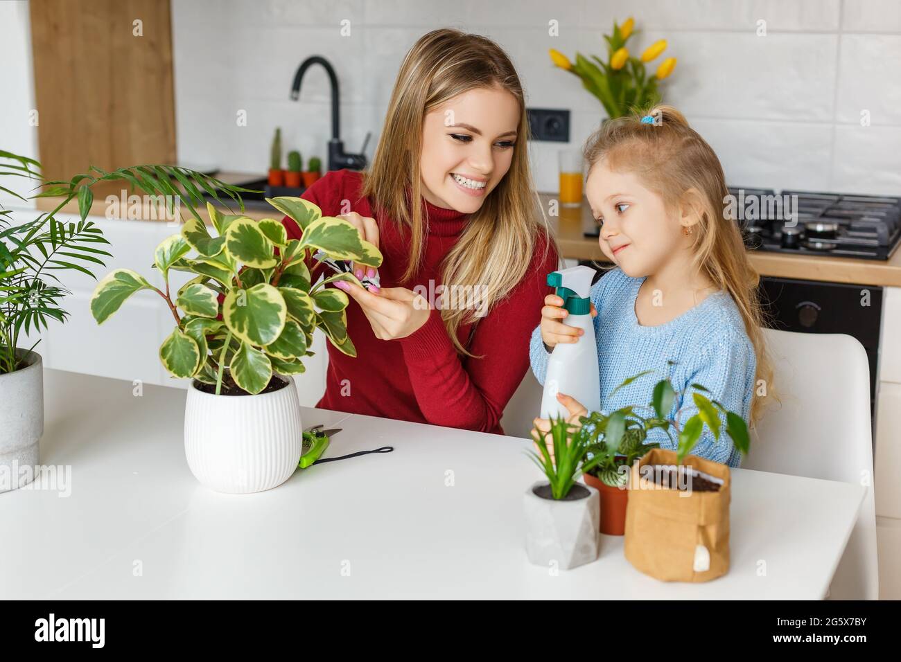 Little daughter and mother spraying and cleaning houseplants at home. Concentrated 3 year old kid helping mom to care plants. Concept of hobby, presch Stock Photo