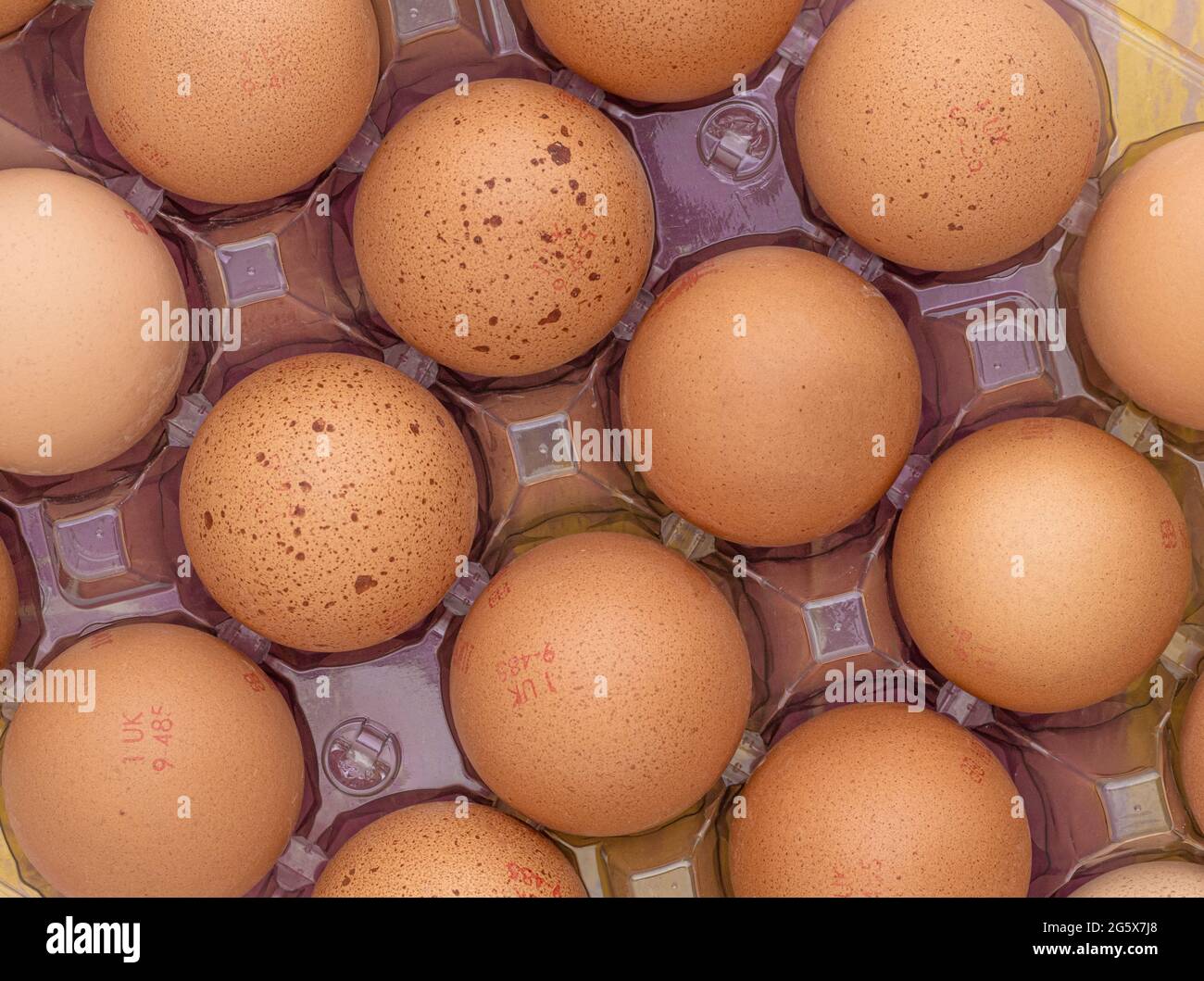 Plan view of brown eggs in a clear plastic carton on a pink and yellow wooden background. Stock Photo