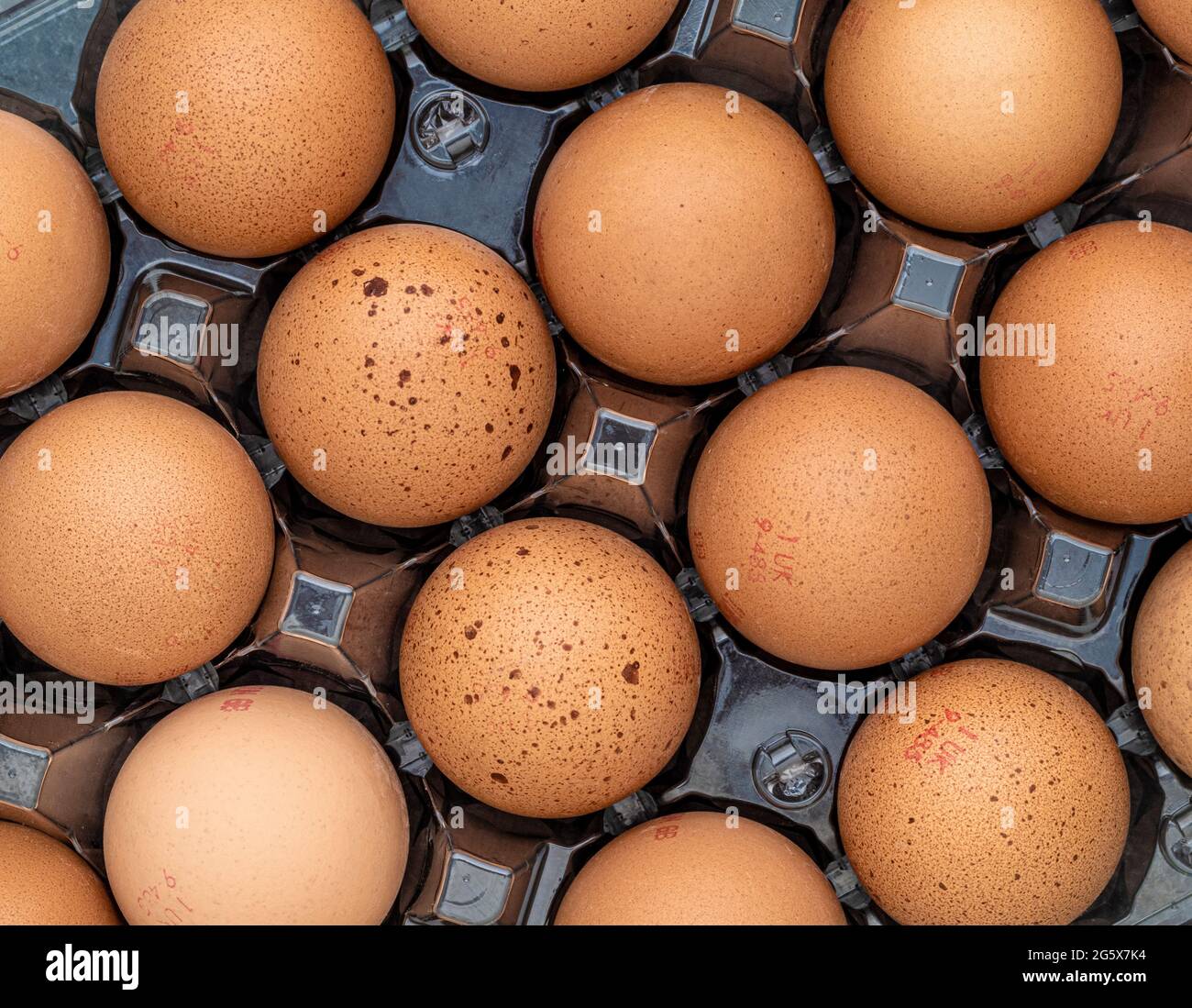 Plan view of brown eggs in a clear plastic carton on a grey background. Stock Photo