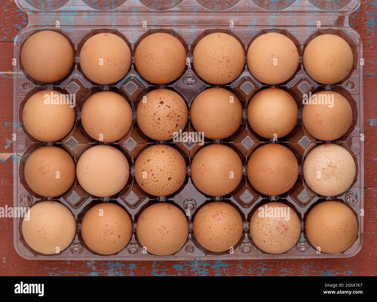 Plan view of of 24 brown eggs in a clear plastic carton on a brown and blue wooden, rustic background. Stock Photo