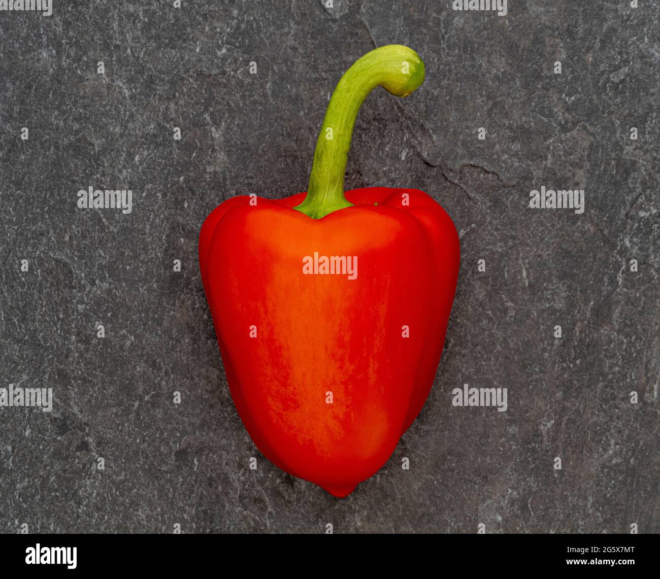 Plan view of a red bell pepper on a grey textured background. Stock Photo