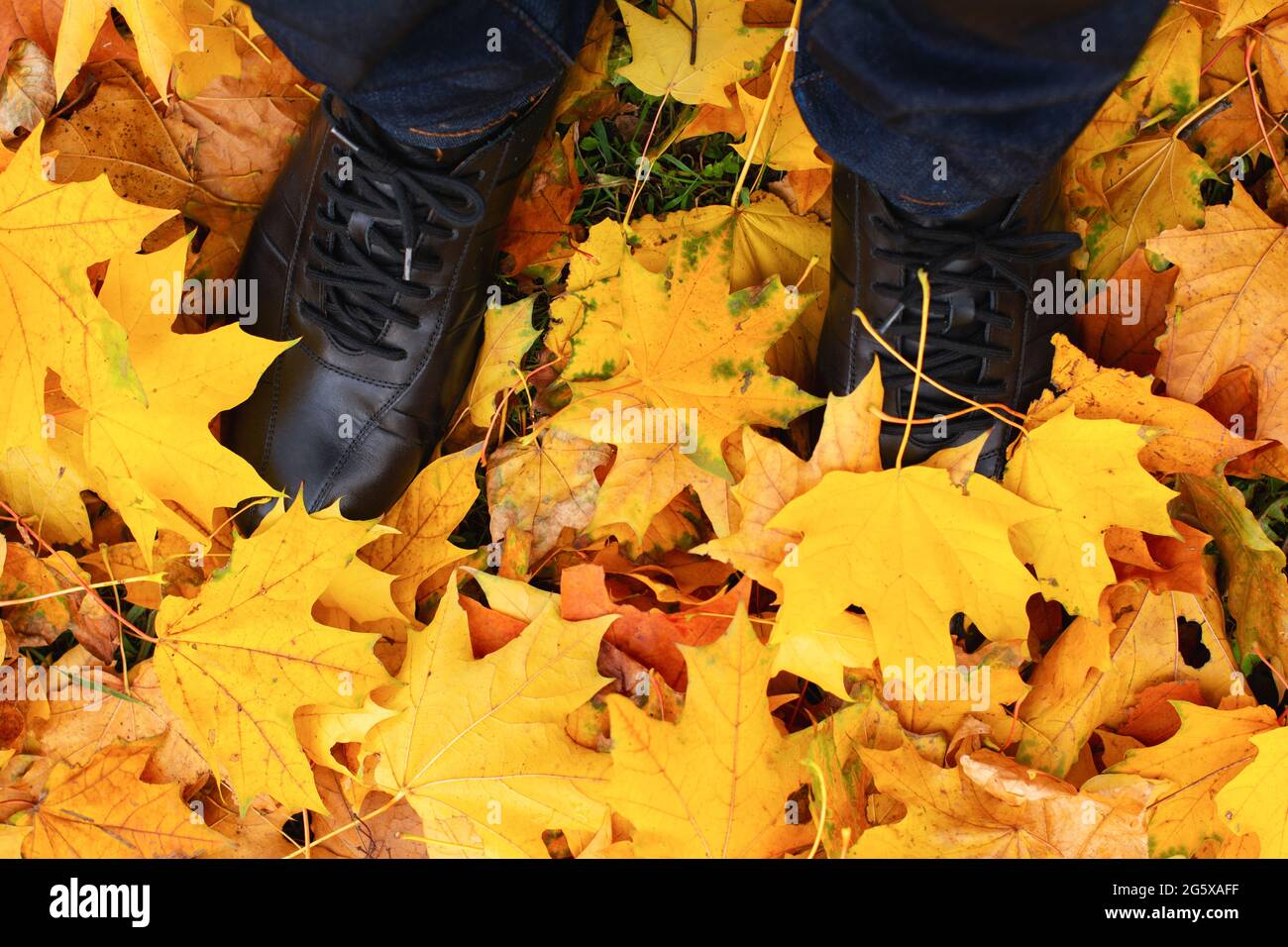 Female legs in boots on the yellow maple autumn leaves. Feet shoes ...