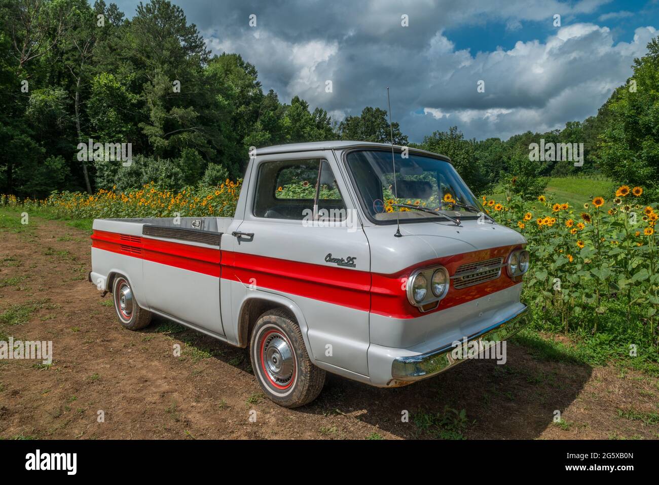 1960's Corvair truck parked in a farm field with sunflowers in bloom and woodlands in the background on a sunny cloudy day in summertime Stock Photo