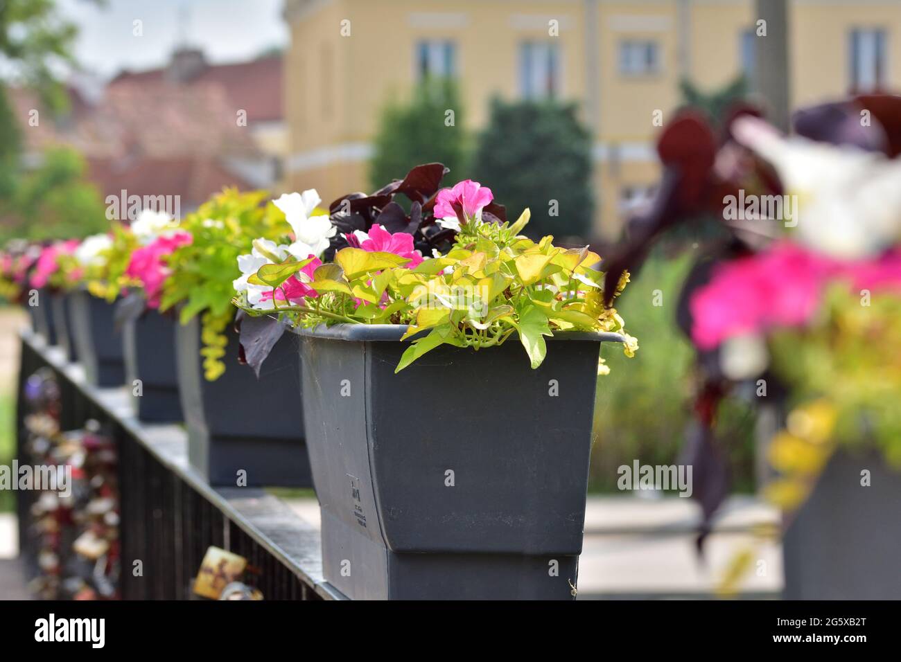 Hanging flower pots fence hires stock photography and images Alamy