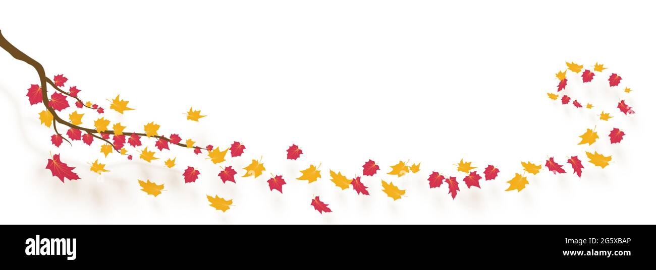 Autumn branch with falling leaves. Vector illustration Stock Vector ...