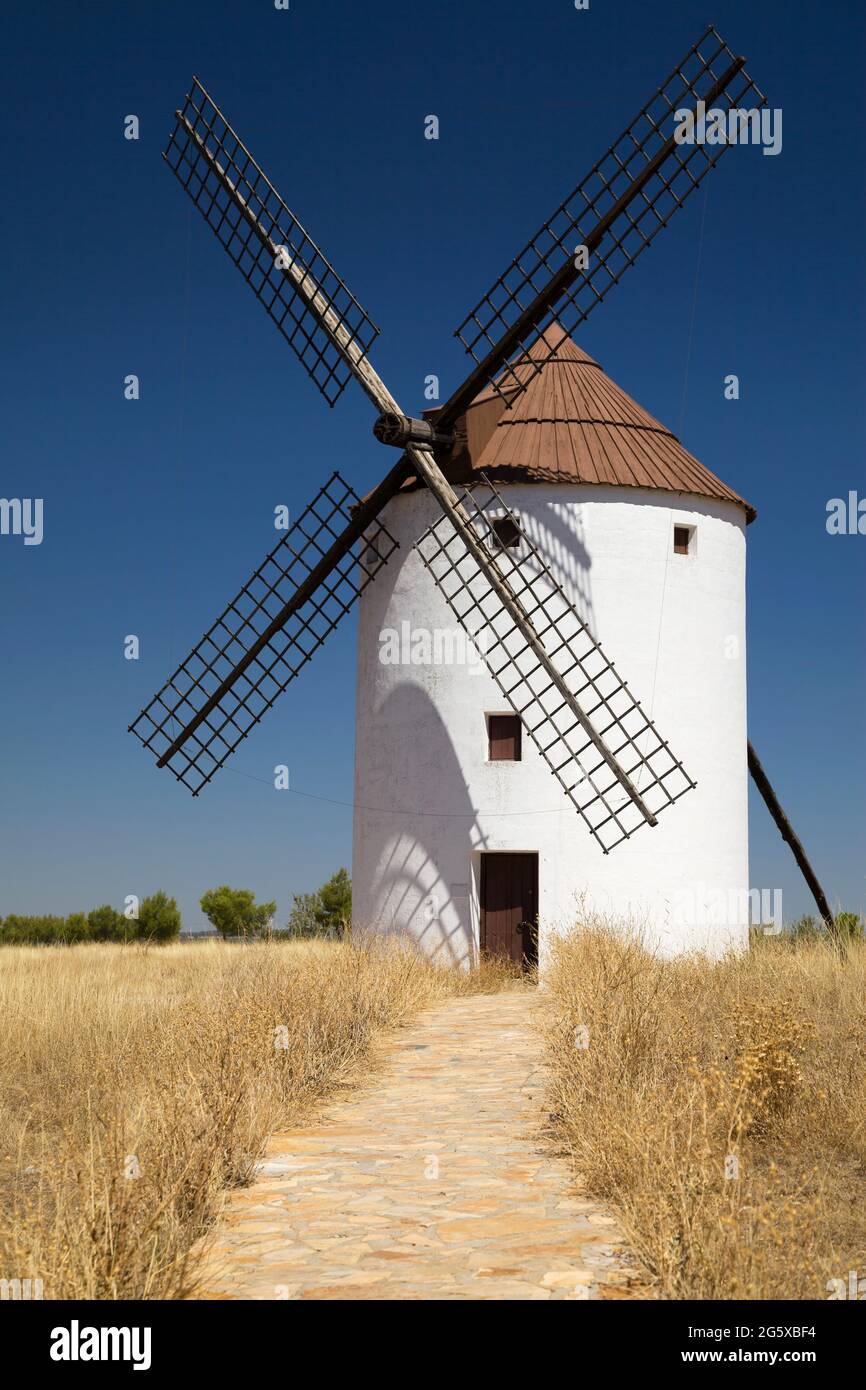 Manchego Windmill at Mota del Cuervo, Cuenca, Spain. Stock Photo