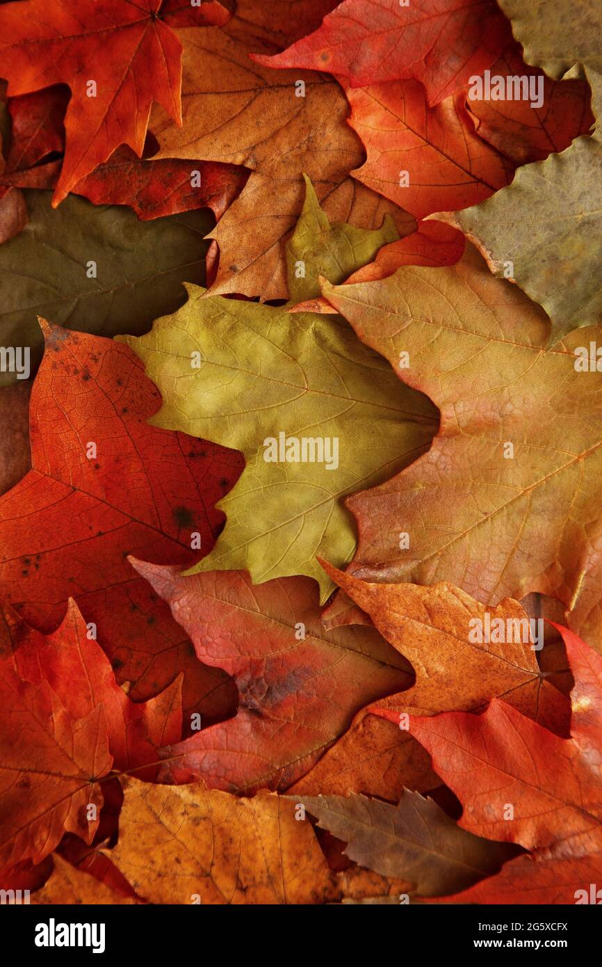 Varying colors hi-res stock photography and images - Alamy