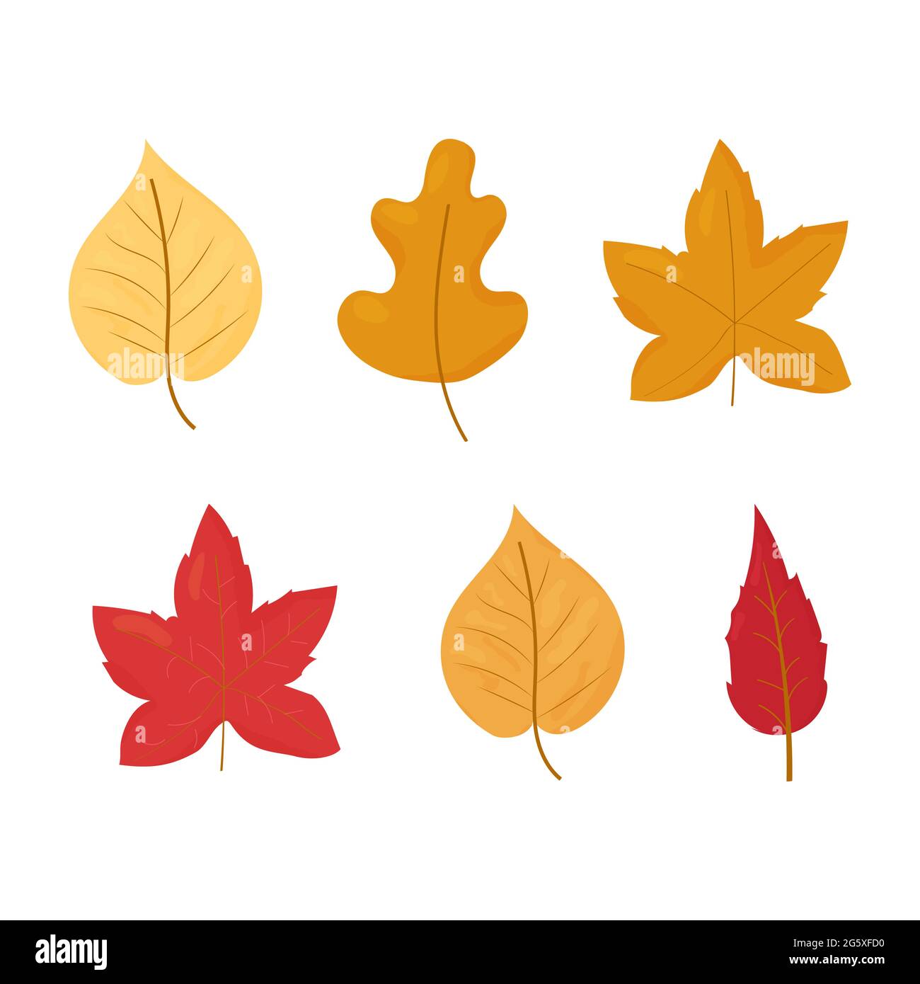 Set of Autumn, fall leaves different colours and shapes isolated on white background stock vector illustration. Vector illustration Stock Vector