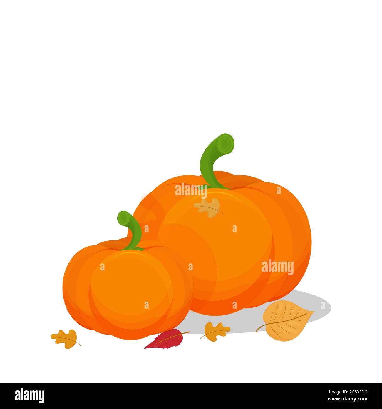 Composition with pumpkins and autumn leaves isolated on white background stock vector illustration. Harvest, Thanksgiving celebration concept. Vector illustration Stock Vector