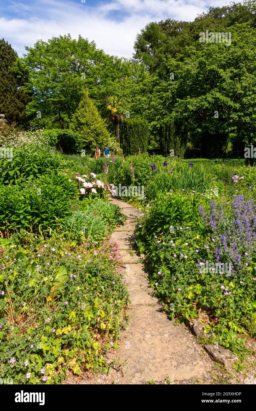 Garden path and border plants, summer 2021 UK Stock Photo