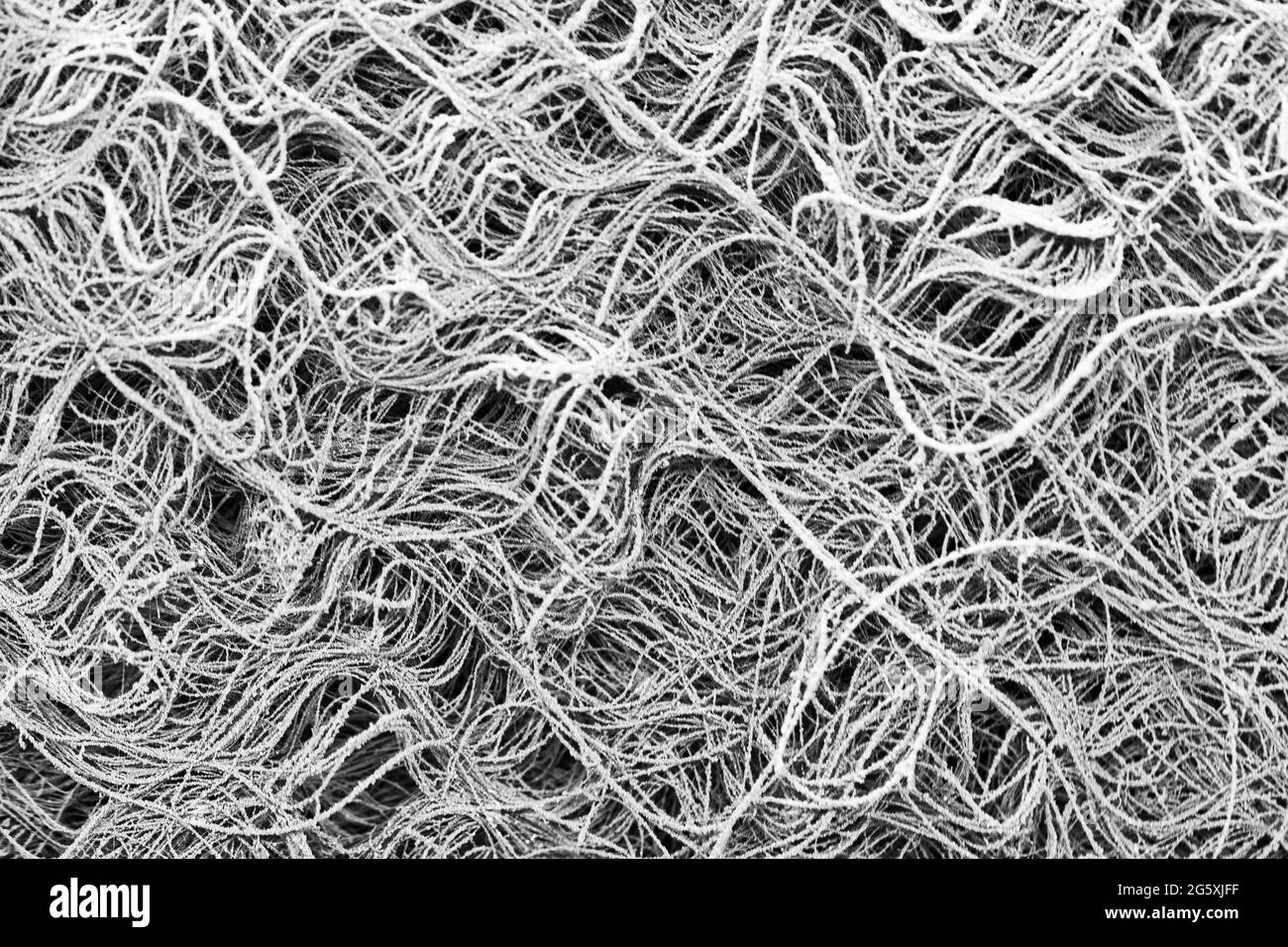 Many intertwined grainy threads form a fleece Stock Photo