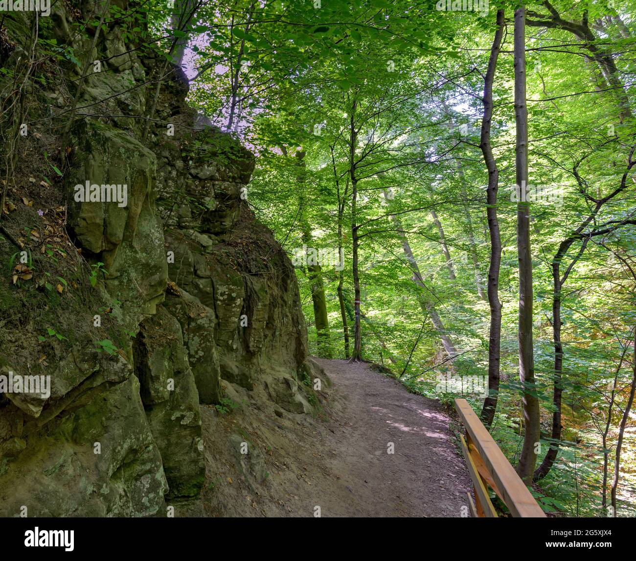 path through the so called Hagenbach gorge in  the danube valley near Saint Andrae-Woerdern, tAustria Stock Photo