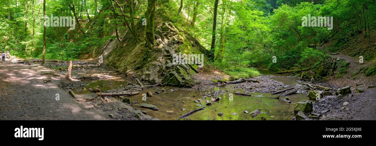 watercourse in  the danube valley near Saint Andrae-Woerdern, the so called Hagenbach gorge, Austria Stock Photo