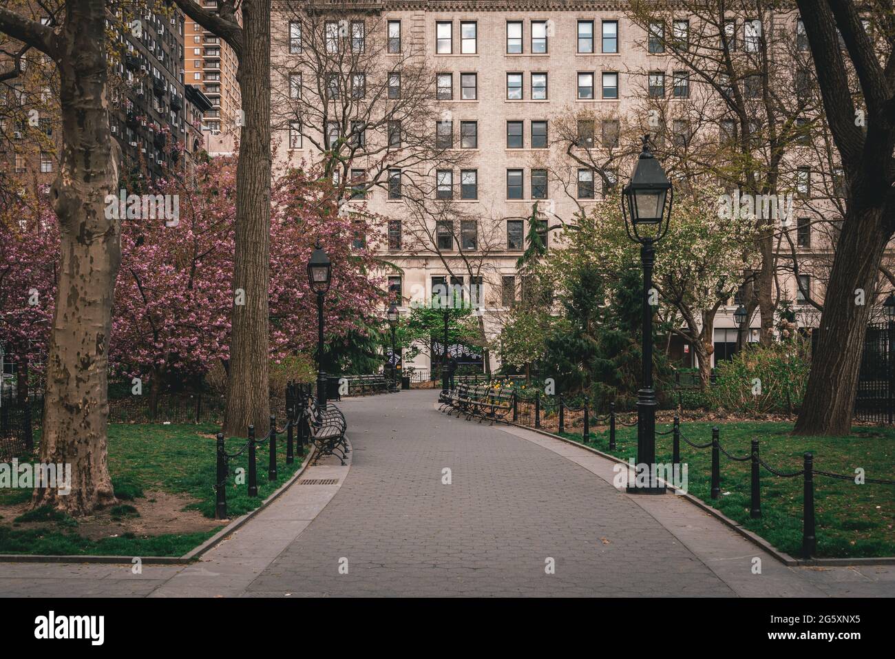 A path with trees and benches, Washington Square Park, Manhattan, New ...