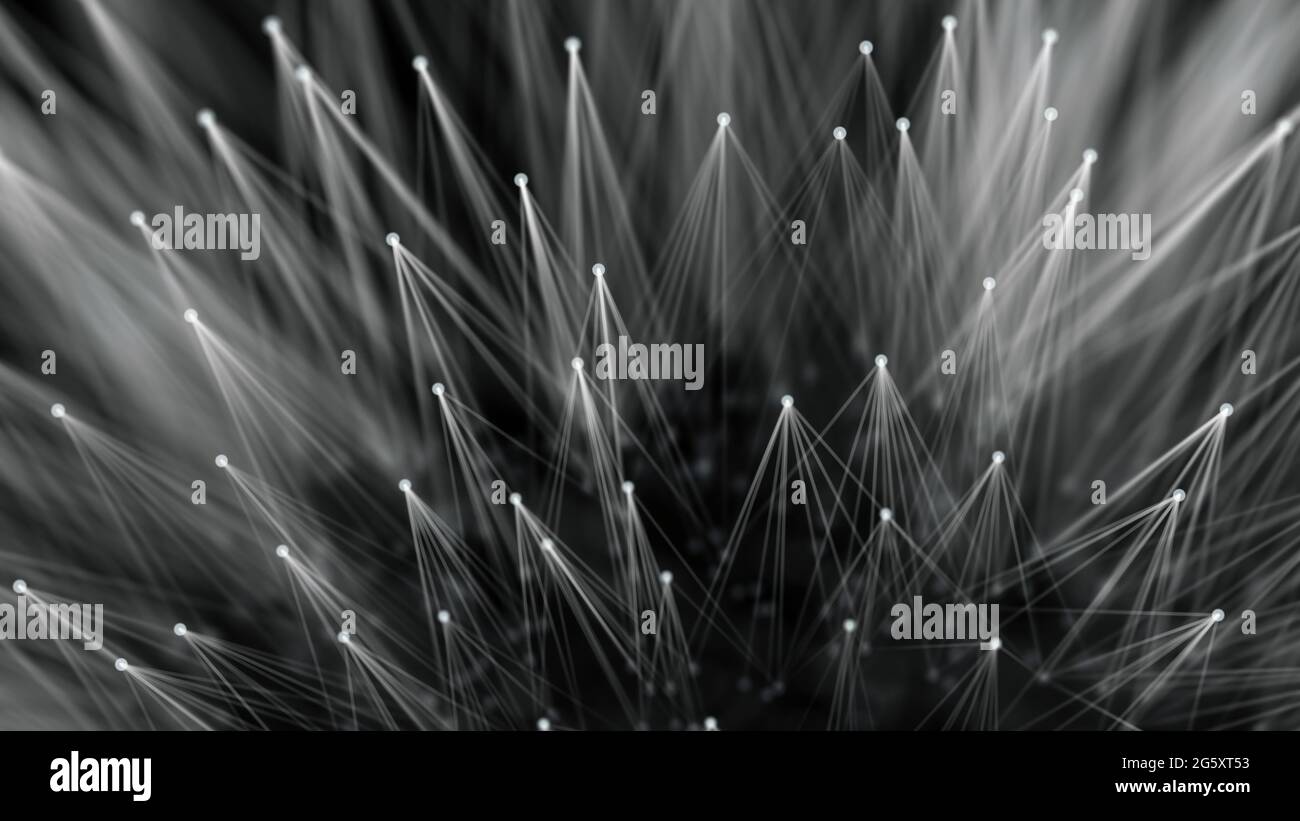 Smooth technological surface like dandelion. Plexus style connecting lines and dots Stock Photo