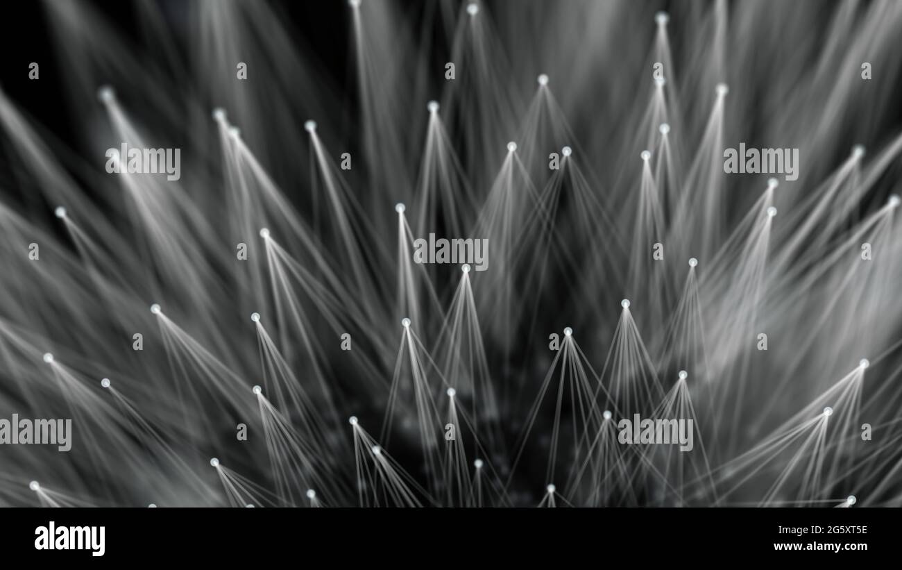 Smooth technological surface like dandelion. Plexus style connecting lines and dots Stock Photo