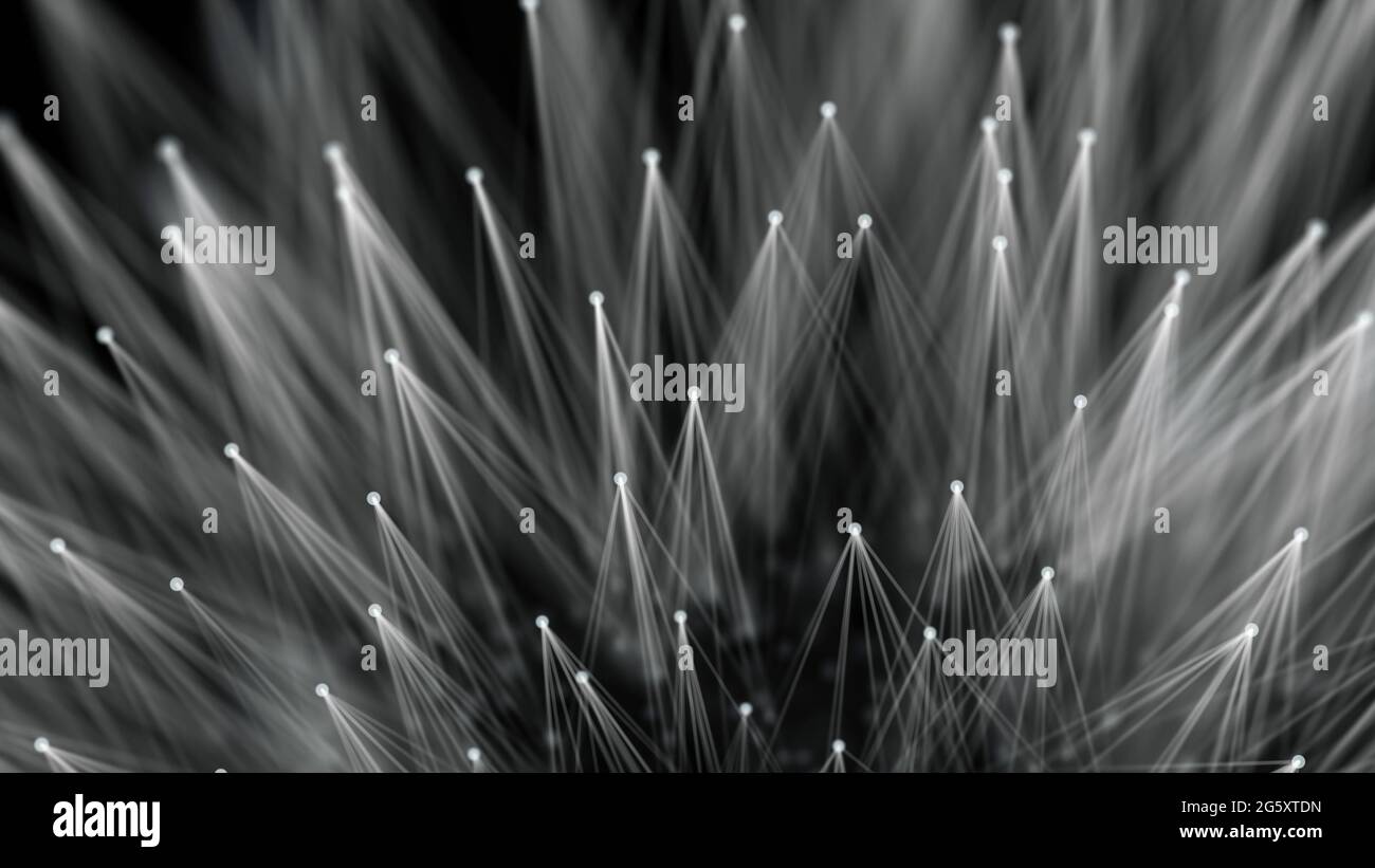 Smooth technological surface like dandelion. Plexus style connecting lines and dots. Stock Photo