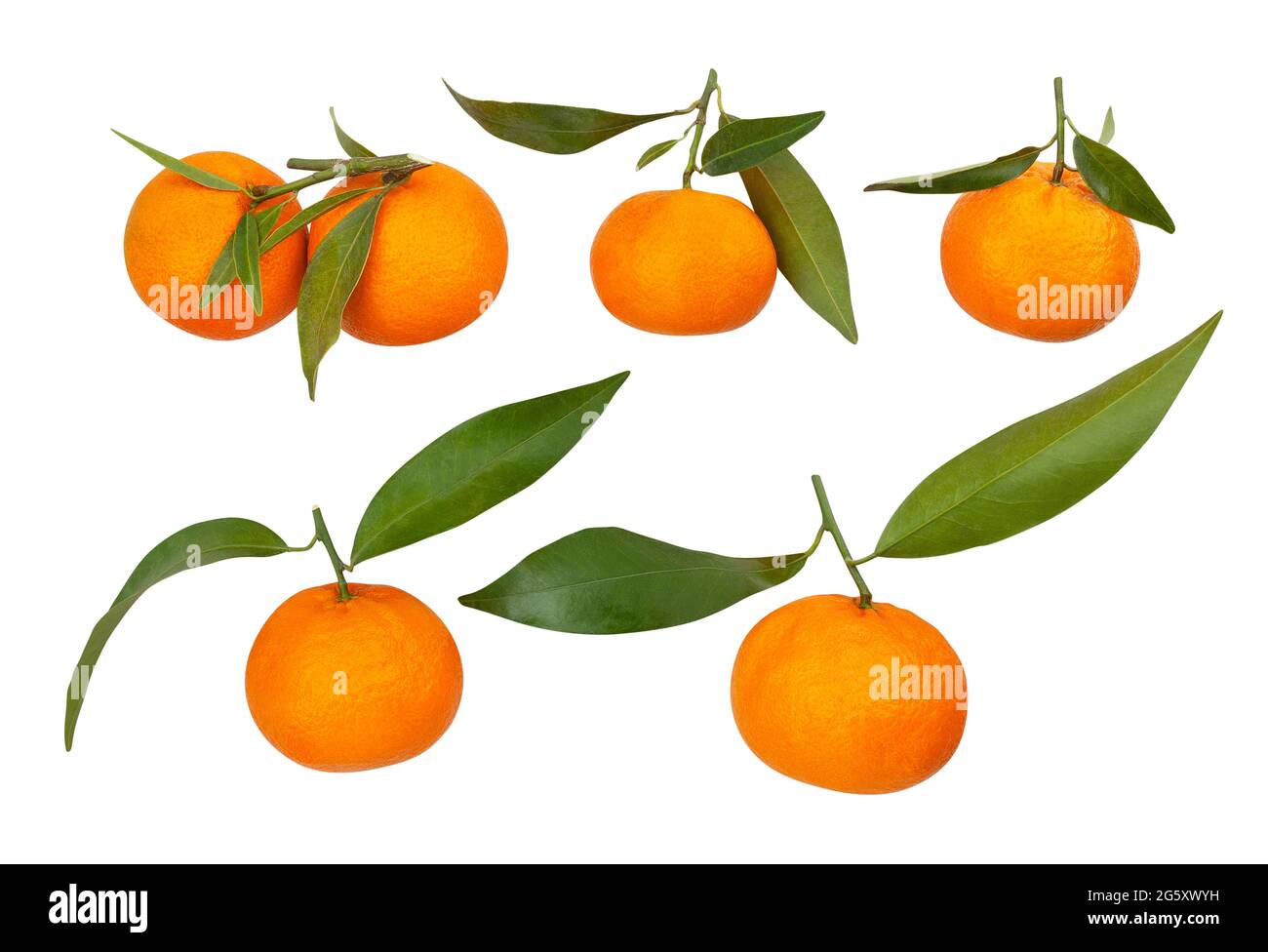 tangerine path isolated on white Stock Photo