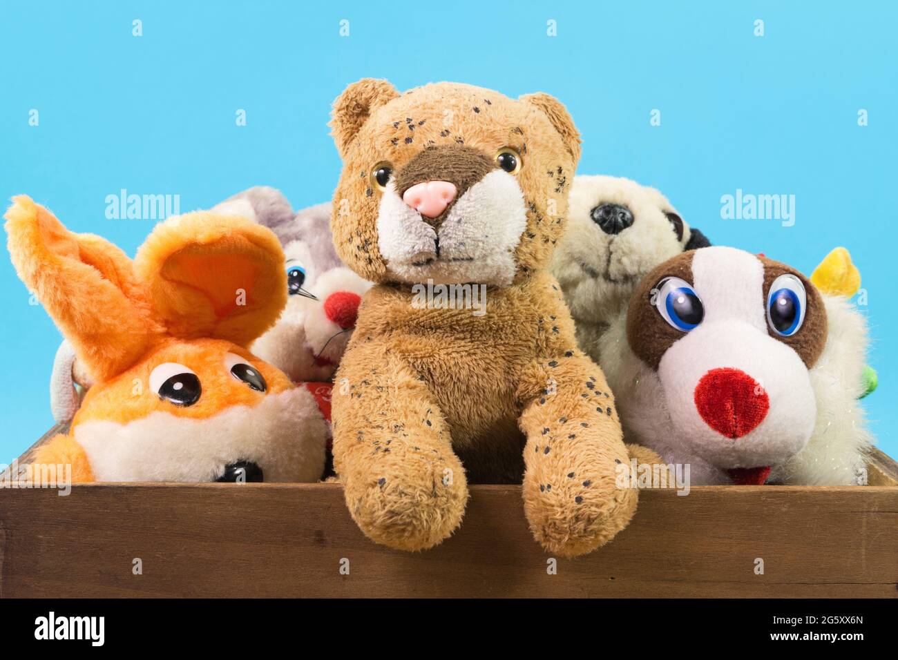Various soft toy animals in wooden box on blue background Stock Photo