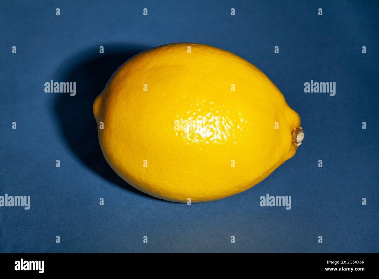 single lemon on blue background Stock Photo