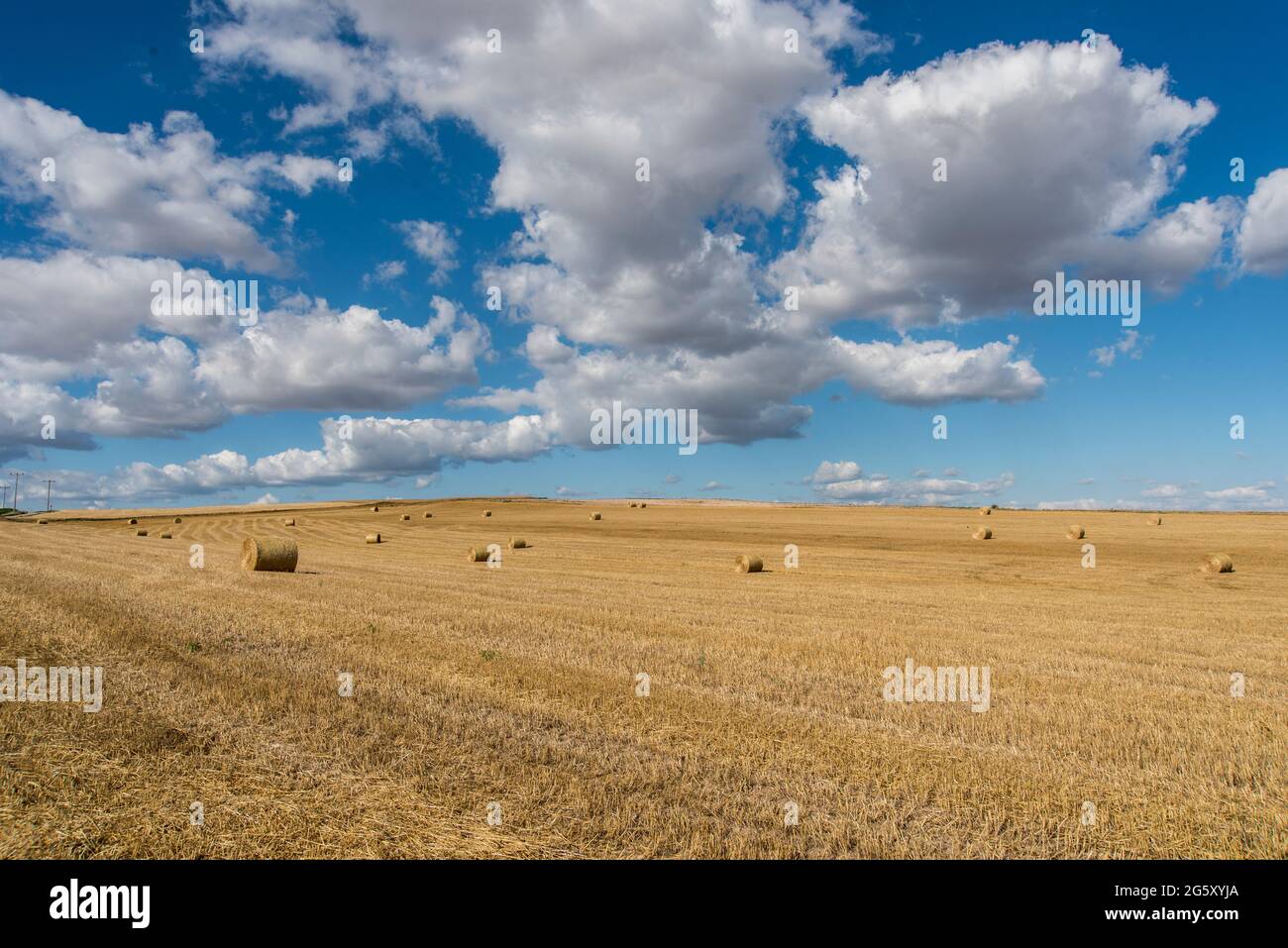 A field with straw bales after harvest on the cloudy sky background ...