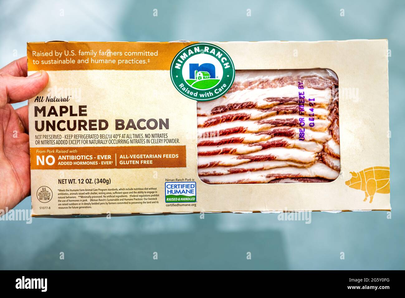 Nellysford, USA - April 29, 2021: Hand holding raw uncured maple bacon meat vacuum sealed label sign text packaged by Niman Ranch with humane practice Stock Photo