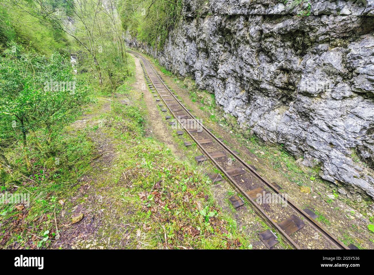 Narrow gauge railway in the deep Guam canyon. Western Caucasus. Russia. Stock Photo