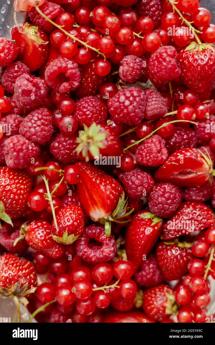 Fresh summer red fruit background composition. Strawberries, red currants, raspberries. Stock Photo