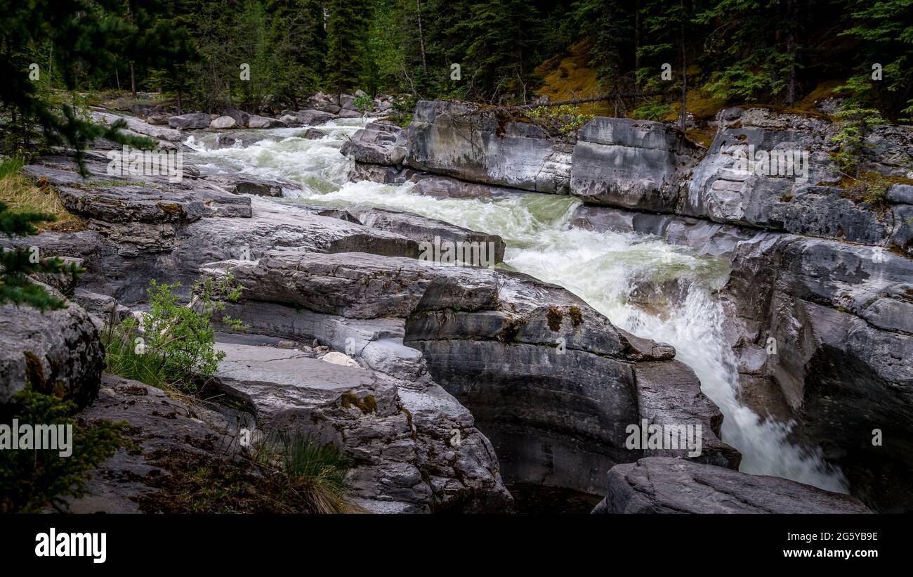 Maligne River as it enter Maligne Canyon upstream of First Bridge in Jasper National Park of the Rocky Mountains, Alberta Stock Photo