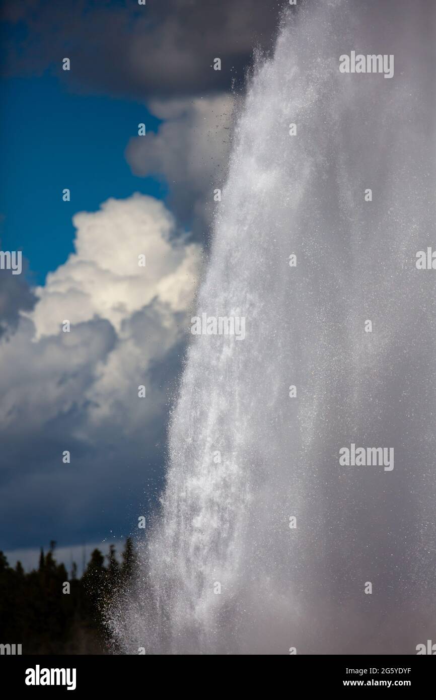 Old Faithful Geyser erupting at Yellowstone National Park in the ...