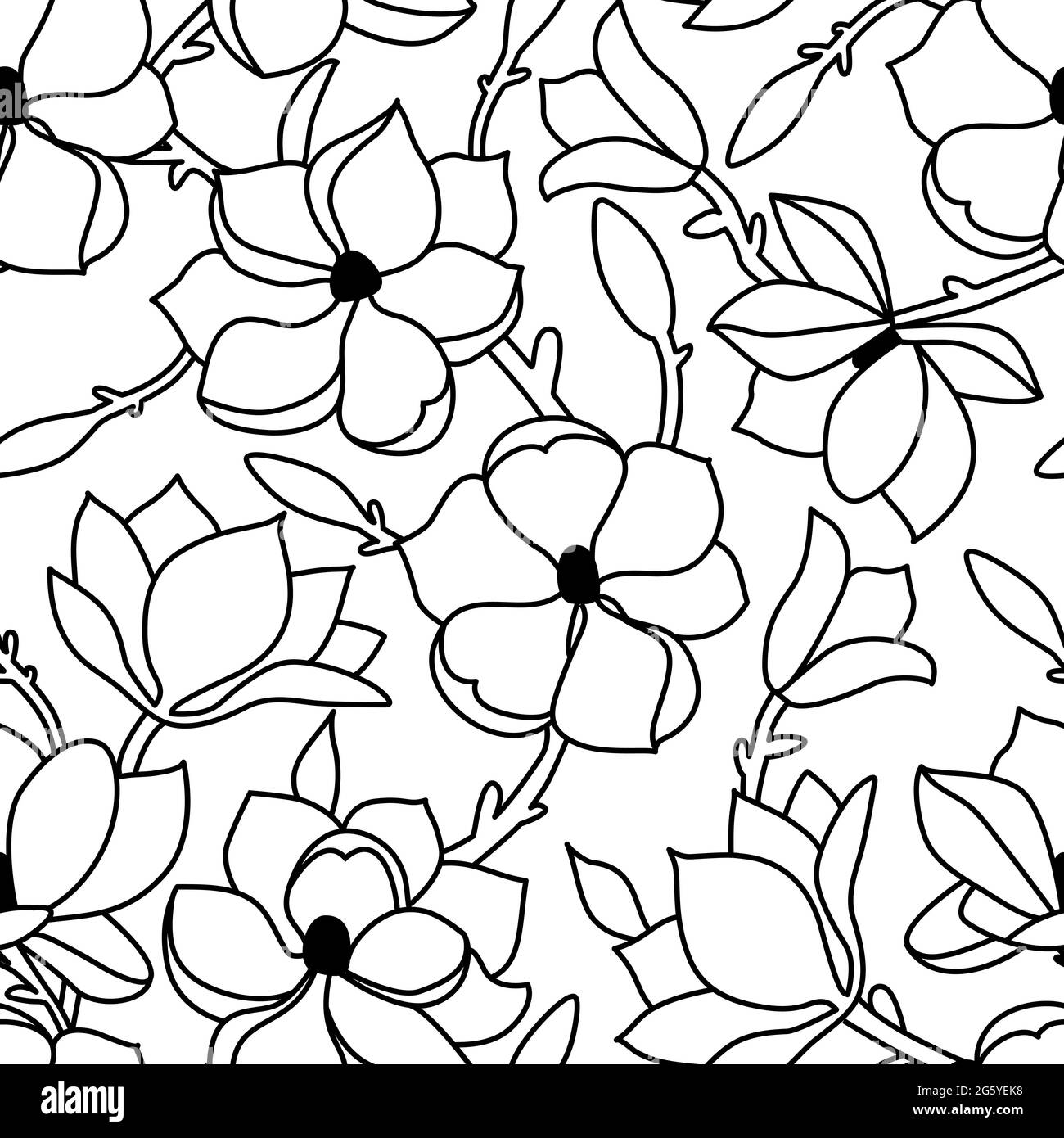A seamless floral pattern. A linear hand-drawn pattern of flowers and a leaf of magnolia on a white isolated background. Vector illustration Stock Vector
