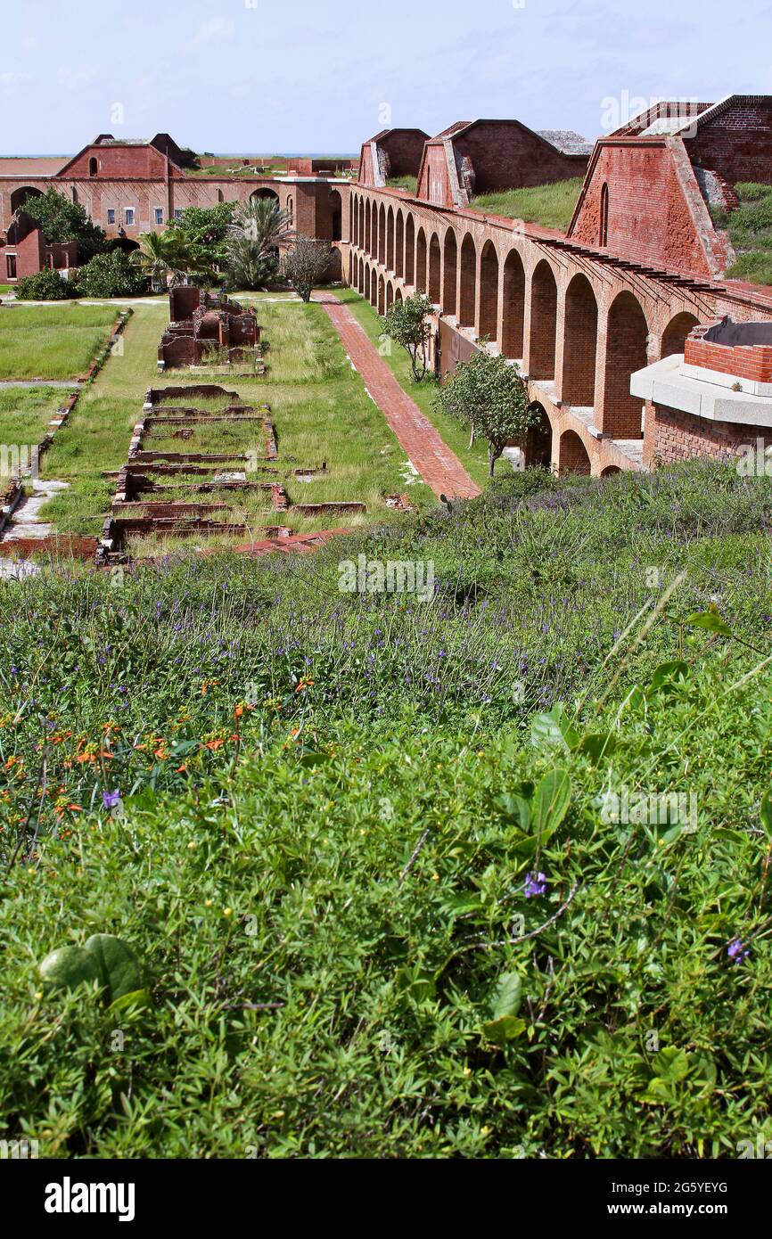 The interior of Fort Jefferson shows ruins among the vegetation. Stock Photo