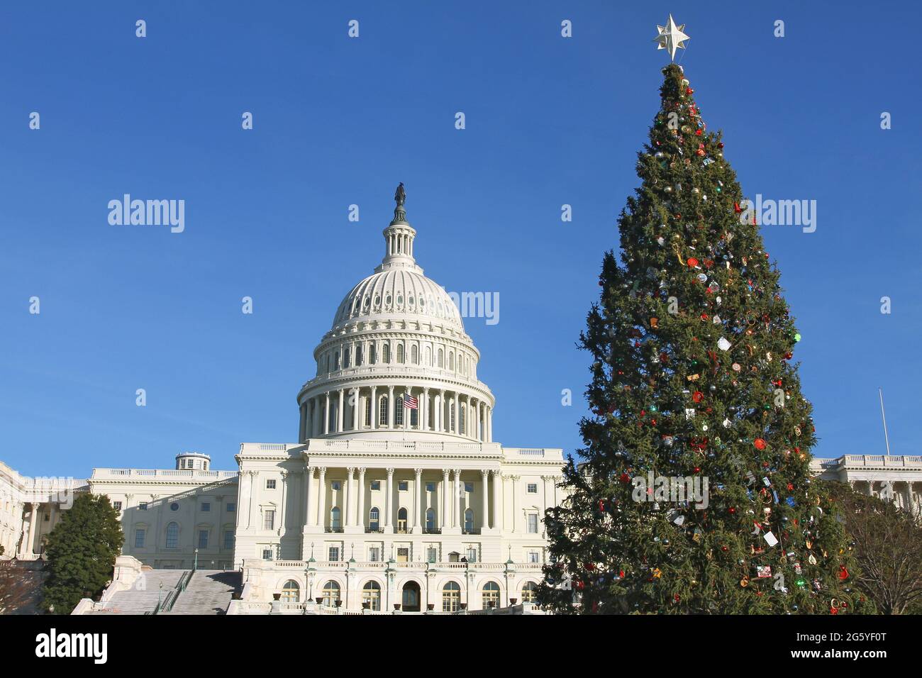 The Capitol Christmas Tree stands in front of the U.S. Capitol Stock