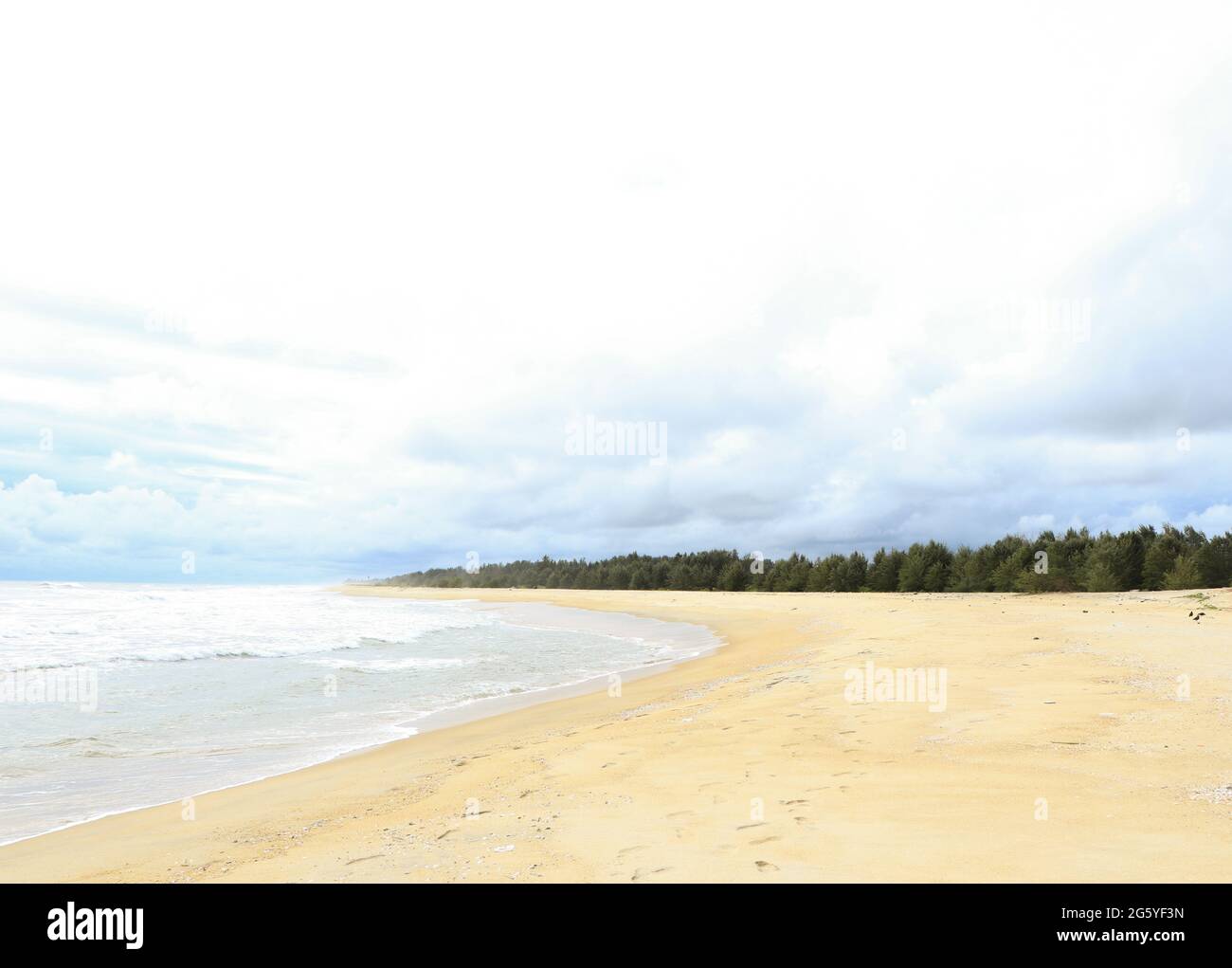 sand beach and deciduous trees on a bright day with cloudy blue sky on an island Stock Photo