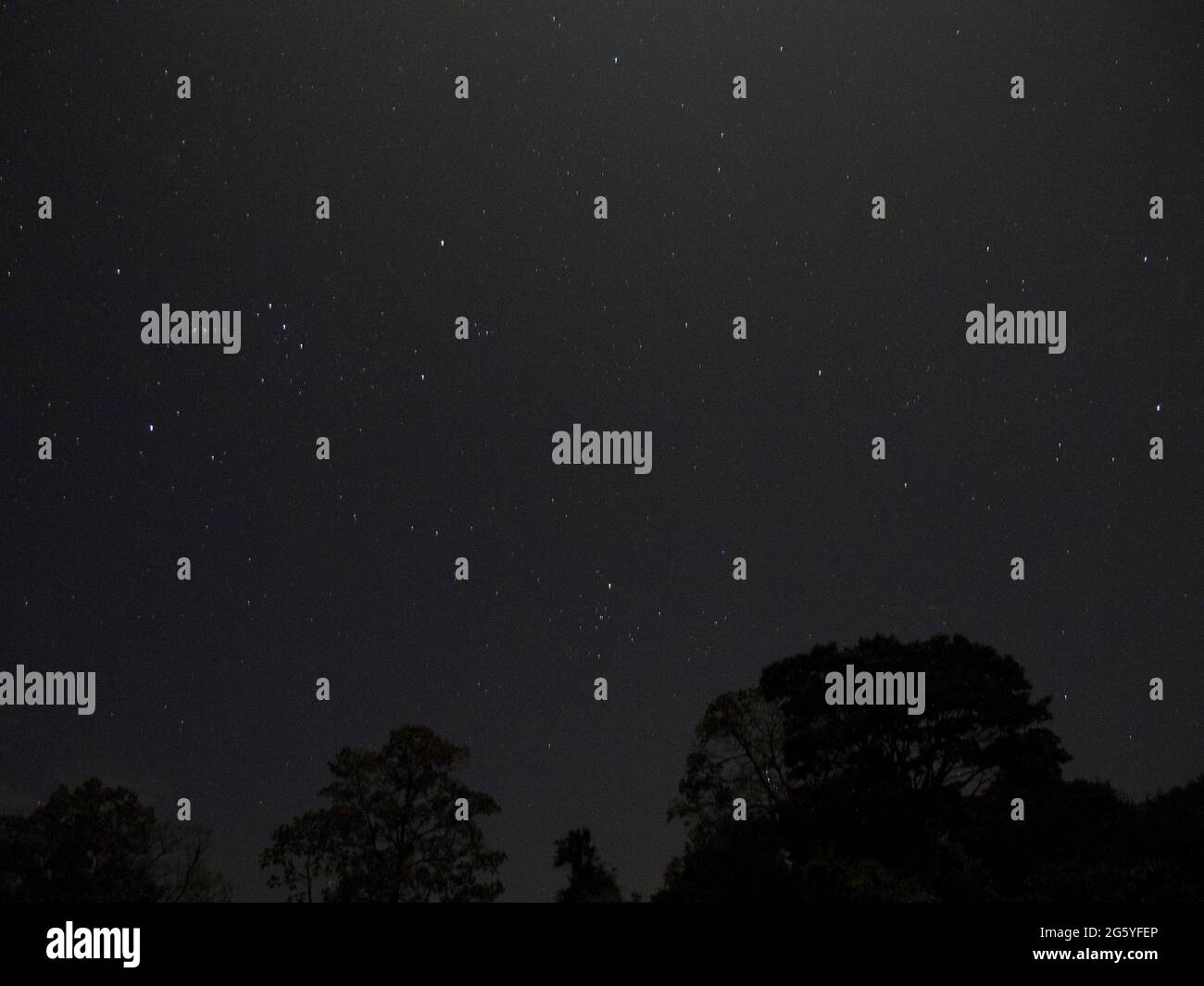 Stars dot the night sky in Corcovado National Park. Stock Photo