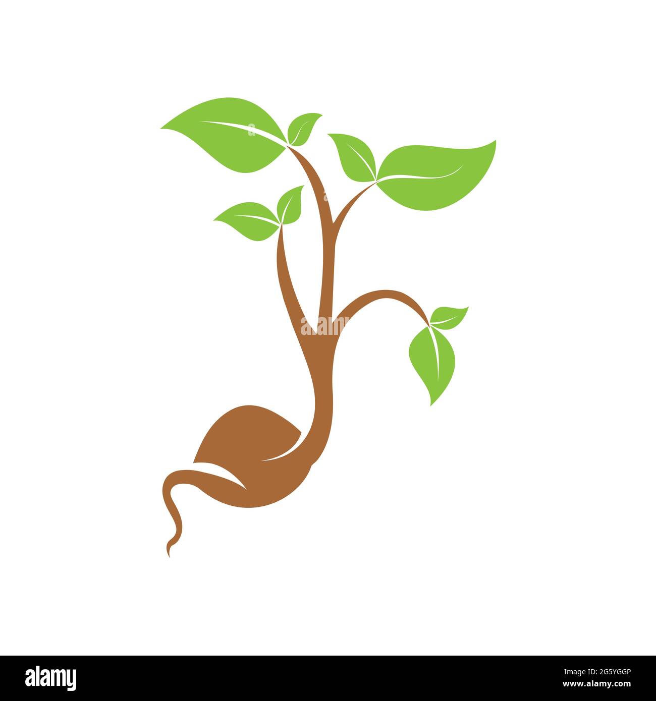 seedling, sprout, sapling flat icon in illustrator Stock Vector Image ...
