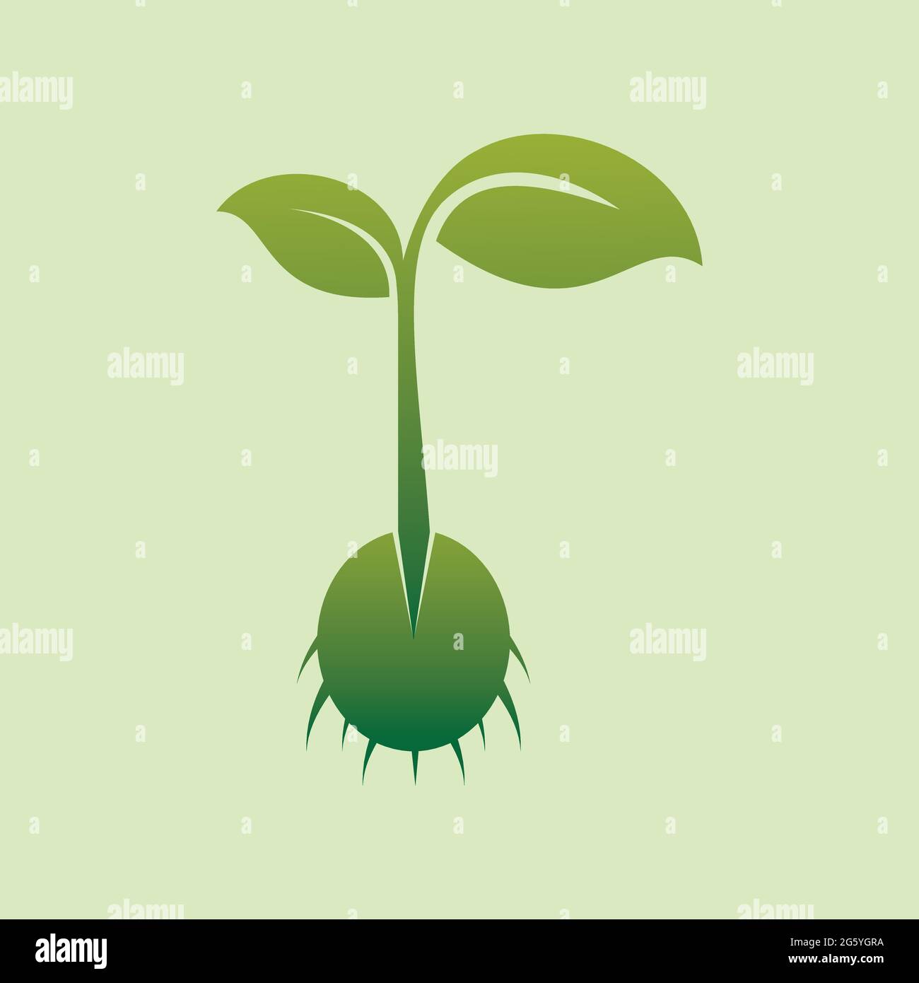 seedling, sprout, sapling flat icon in illustrator Stock Vector Image ...