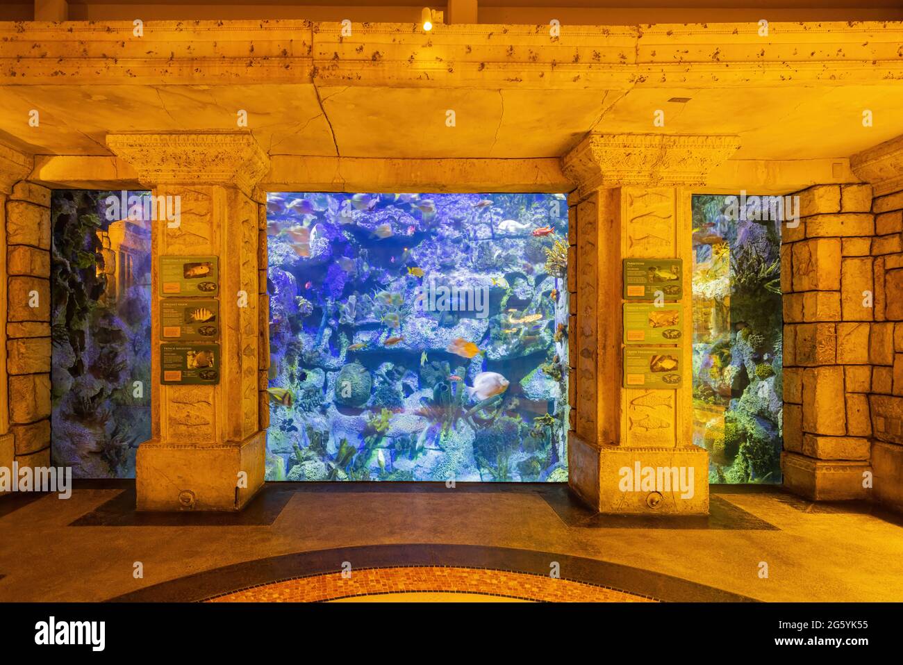 Las Vegas, JUN 29, 2021 Interior view of the Shark Reef Aquarium