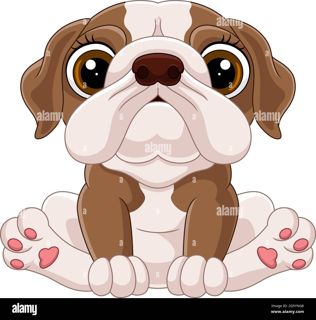Cartoon cute baby bulldog sitting Stock Vector Image \u0026 Art - Alamy, image size:1300x1317