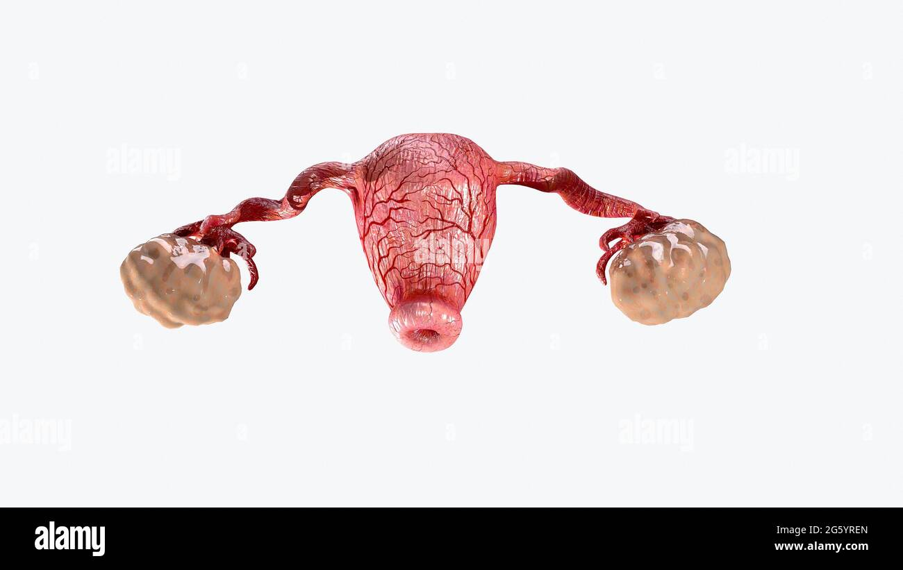 Porno tomosha qiling: Brother deflowers opa onlayn