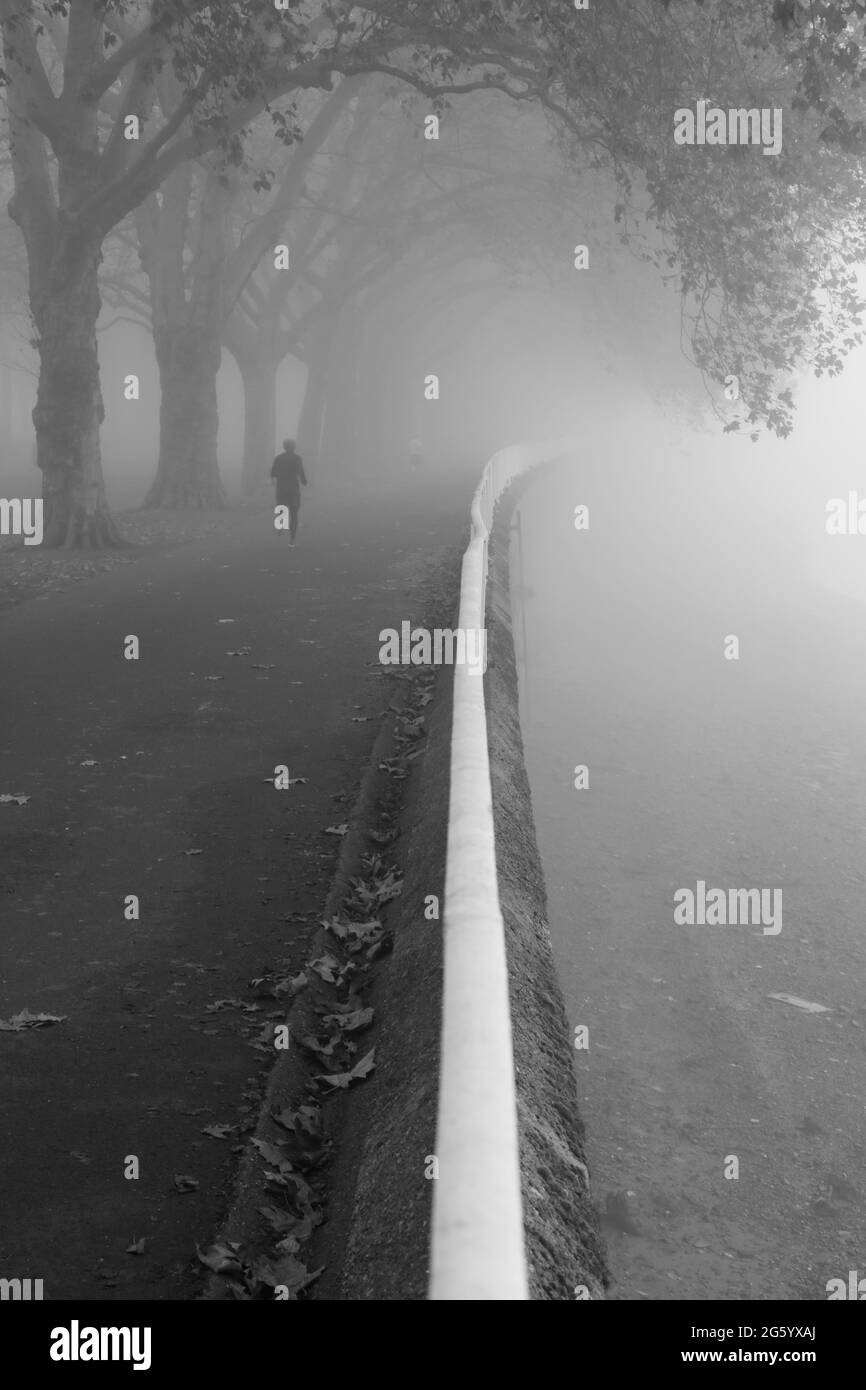 Fog on the banks of the River Thames in Wandsworth Park, Putney, London, UK Stock Photo